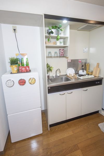 厨房是舒适地可以使用的偏大的小厨房。