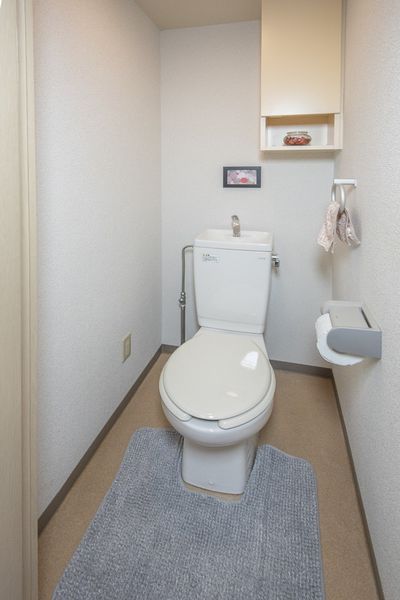 厕所是独立的厕所。有橱柜搁板。