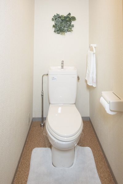 厕所(一部分)是按照好的浴室厕所不同的类型的公寓。