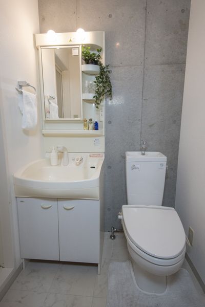 有独立卫浴柜、厕所(A，B，C，D型)淋浴盥洗台。※没除了家具家电以外为样板房有小东西