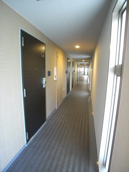 共用走廊木纹风格的漂亮的门是要点。