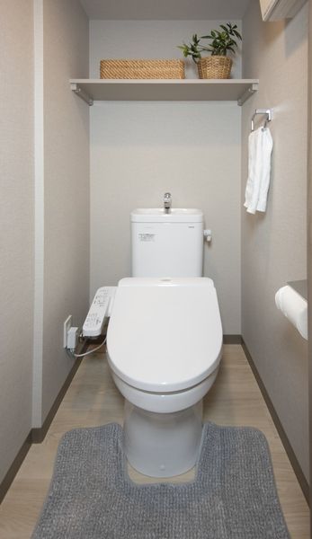 厕所智能卫浴的※是样板房的照片。没有小东西。